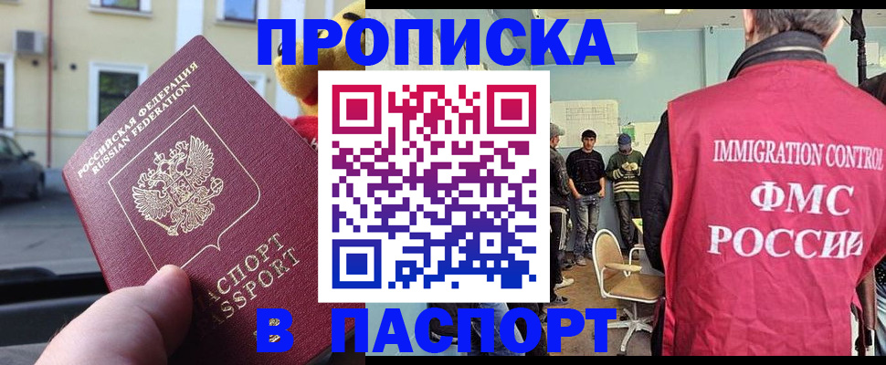 временная регистрация поиск в Елизово